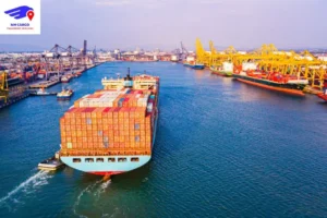 Packing Experts – NM Cargo